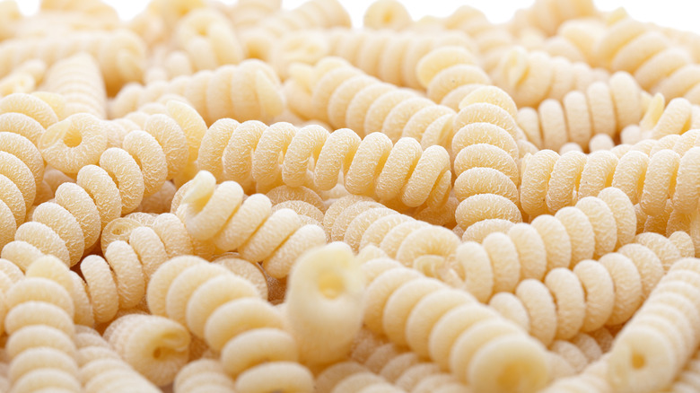 Close-up of Bucati fusilli