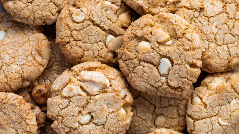 pile of white chocolate chip macadamia nut cookies