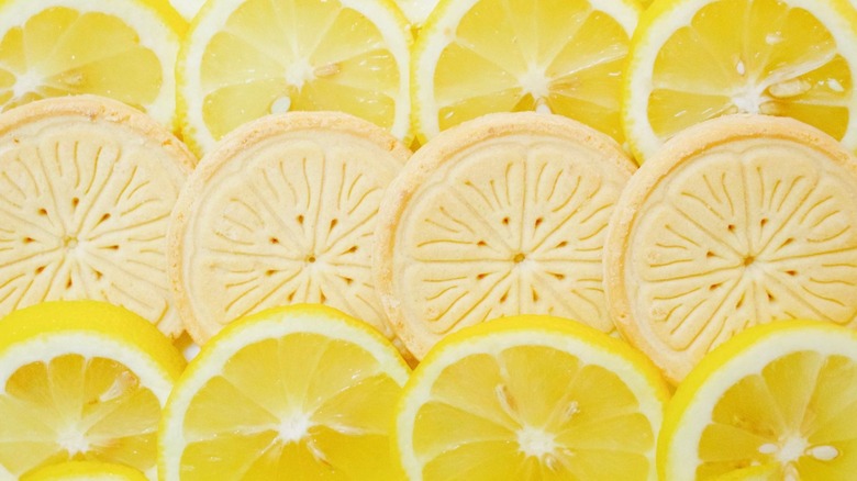 Lemonades cookies layered between slices of lemon