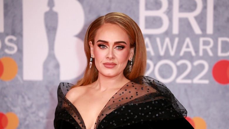 Singer Adele posing on the red carpet