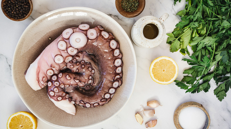 ingredients for grilled octopus