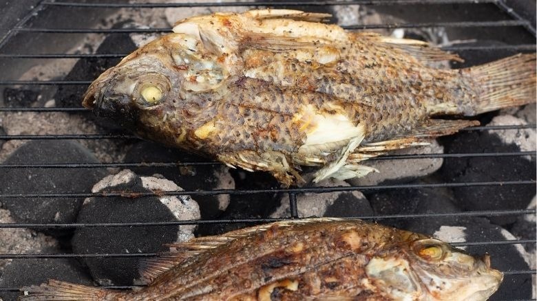 whole tilapia on grill