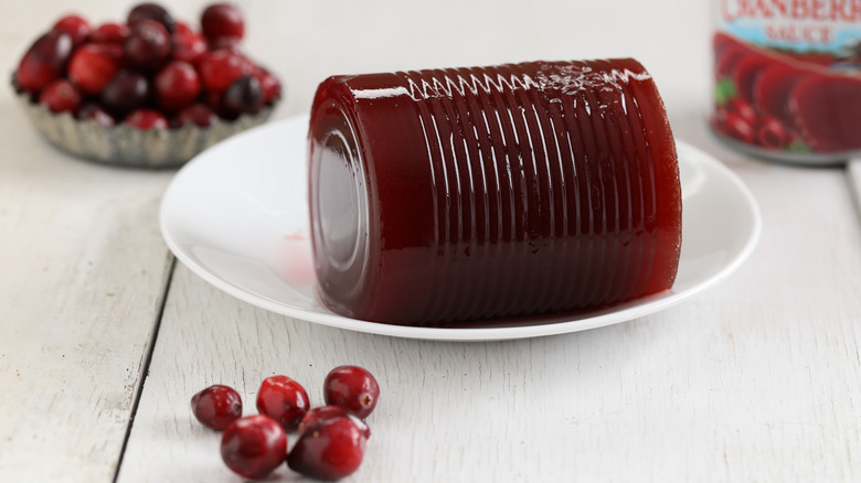 Canned cranberry sauce on a plate