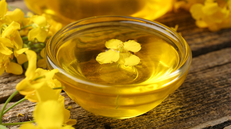 Small bowl of canola oil