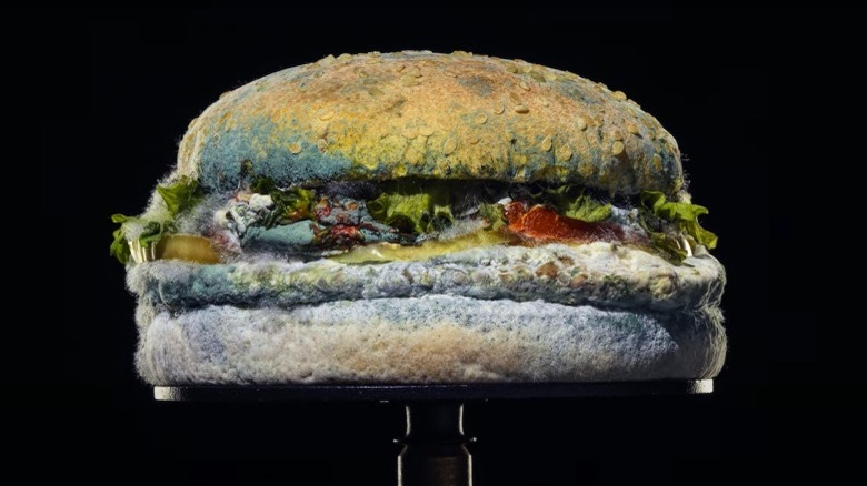 A rotting whopper was featured in a Burger King ad