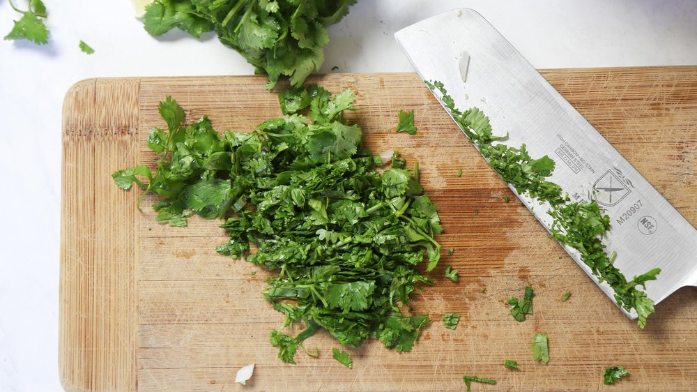 Chopped cilantro for guacamole