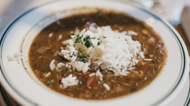 gumbo with rice on top