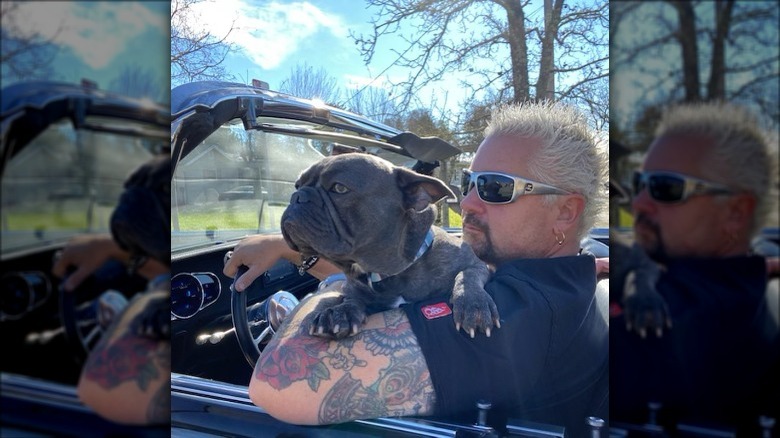 Guy Fieri driving with his dog