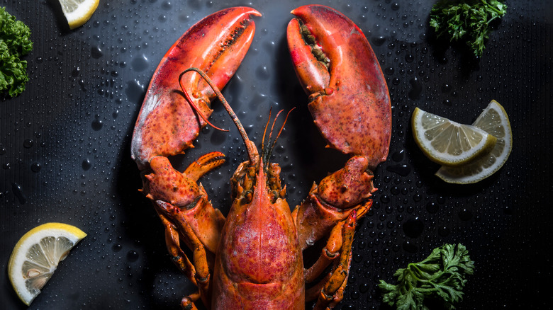 Cooked lobster with lemons