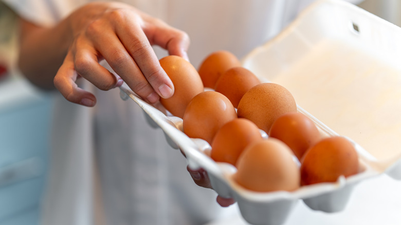 hand holding a carton of eggs