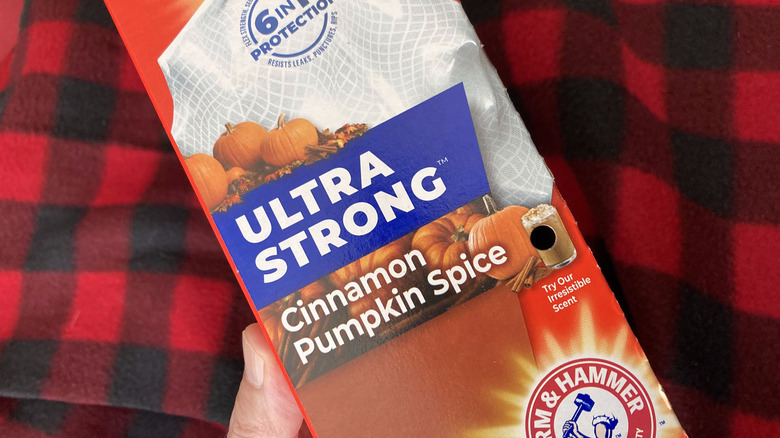 cinnamon pumpkin spice trash bags