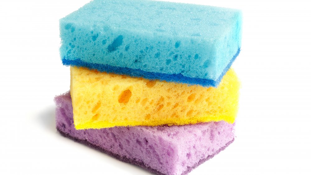 The Surprising Structural Reason Your Kitchen Sponge is Disgusting