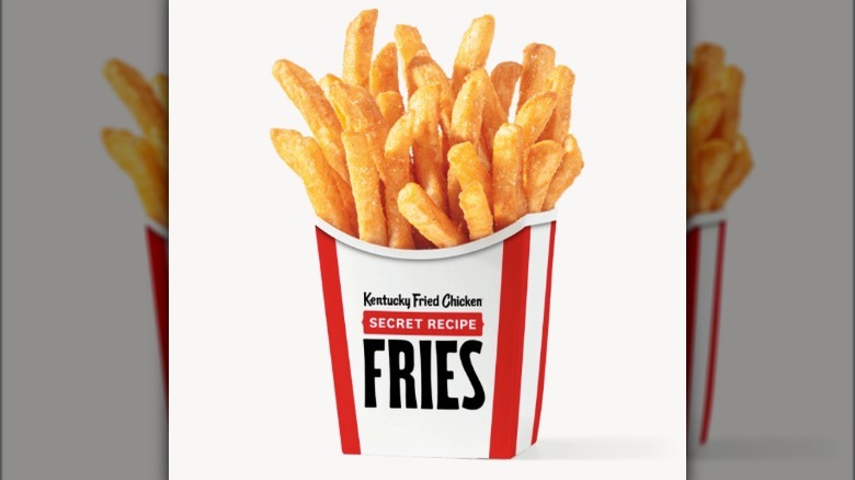 KFC Secret Recipe Fries