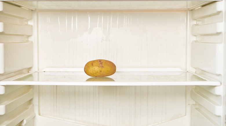 One potato on a shelf