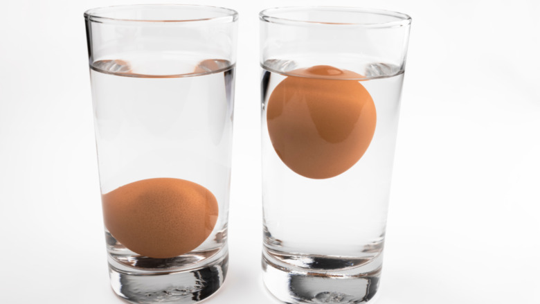 eggs in glass of water