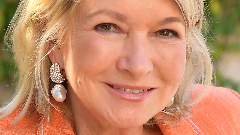 Martha Stewart, America's First Self-Made Female Billionaire, Is Still  Innovating - Business Traveler USA