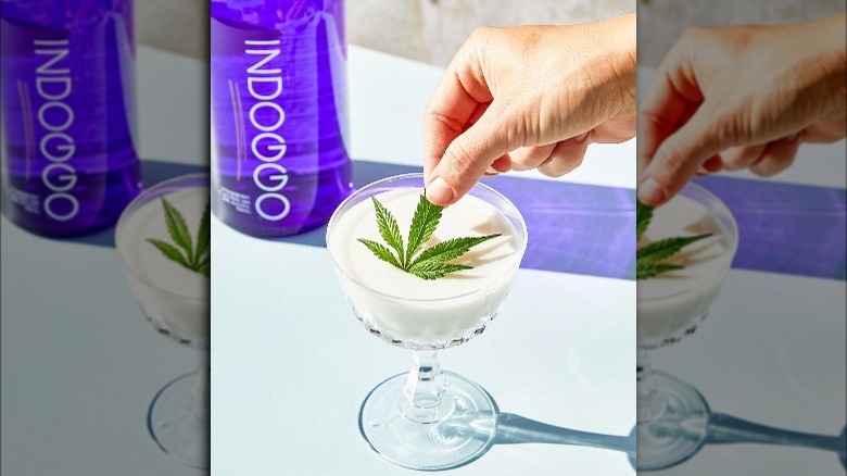 Laid Back cocktail with CBD leaf