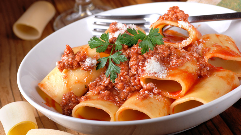 Paccheri pasta with Neapolitan meat sauce 