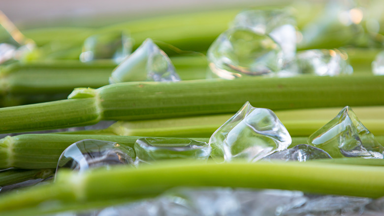 Celery over ice