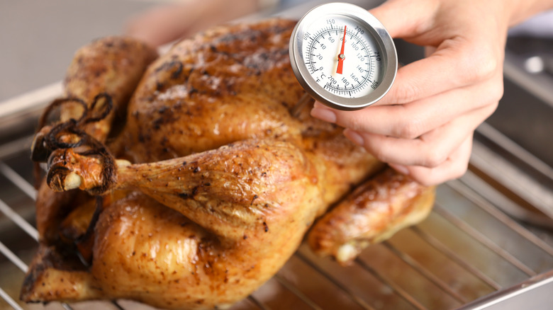 checking turkey temperature with thermometer