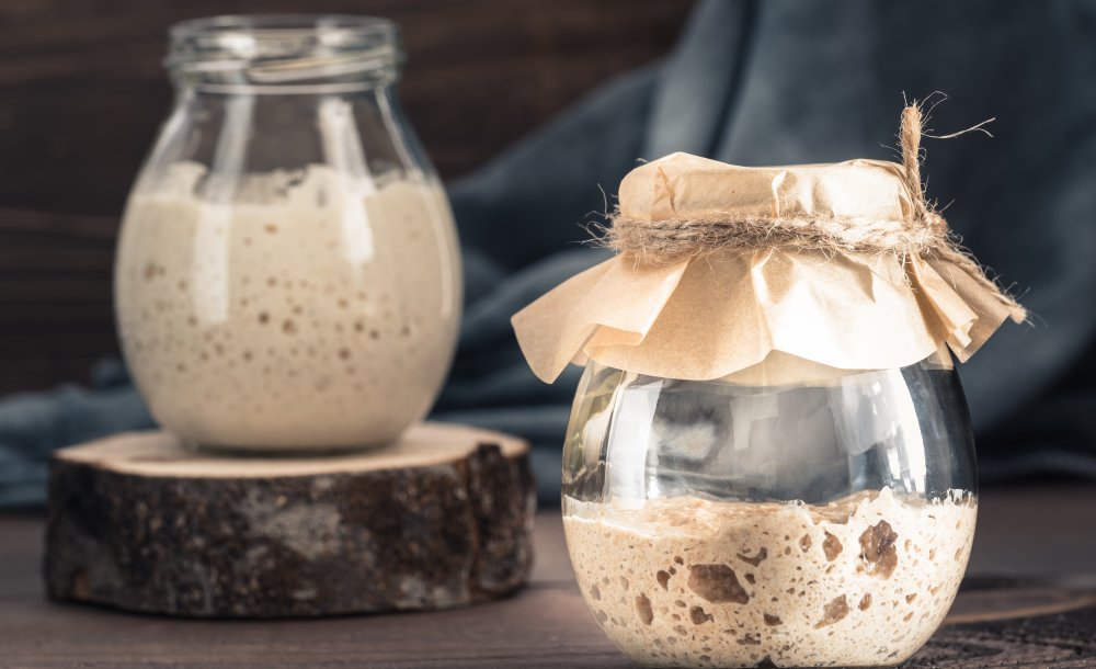 Sourdough starters in jars