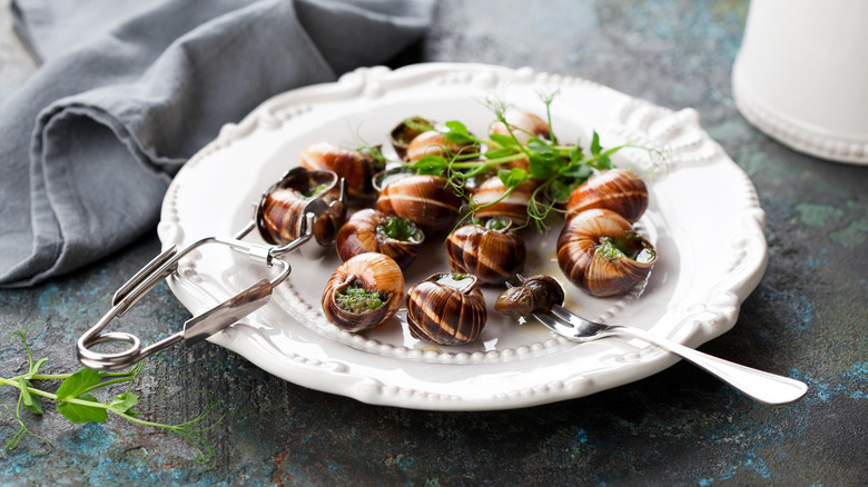 escargot on a white plate