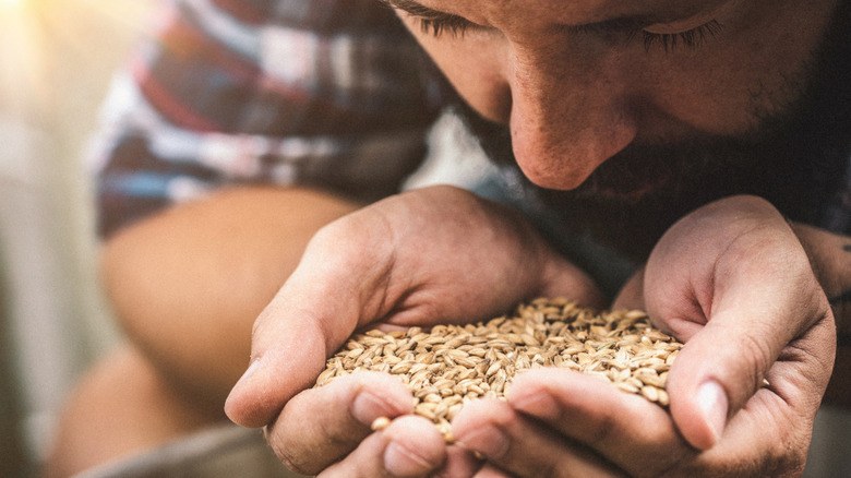 Man looking at grain