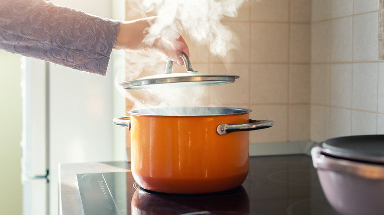 lifting pot lid with steam