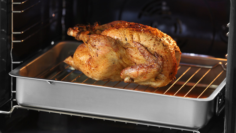 turkey in a pan on a rack