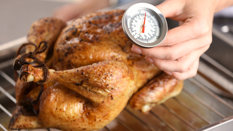 turkey on pan with thermometer