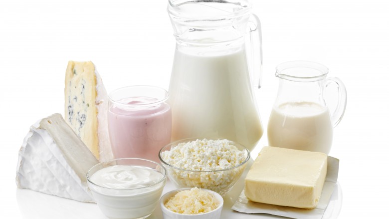 dairy products