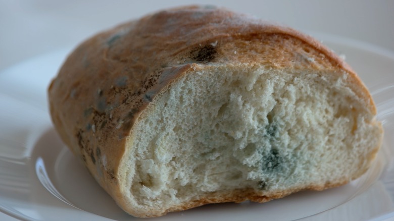 loaf of moldy bread 