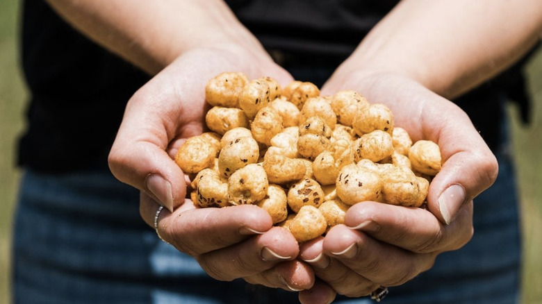 a handful of popped water lily seeds