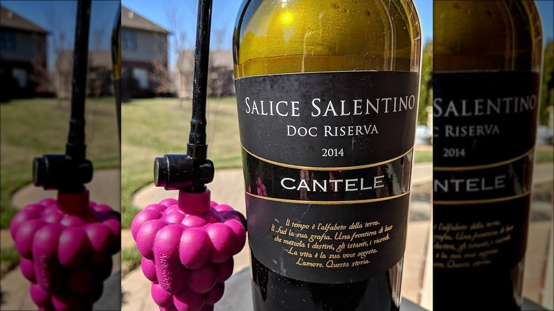 wine balloon aka air cork in bottle of wine