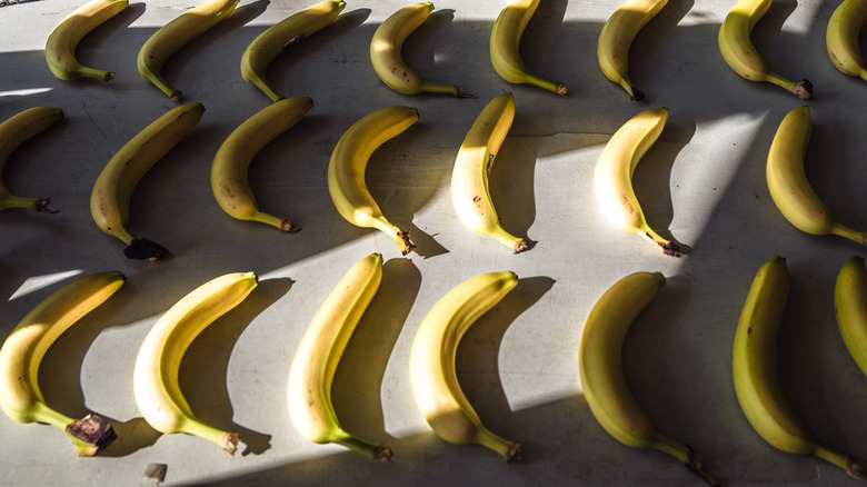 Bananas displayed on table