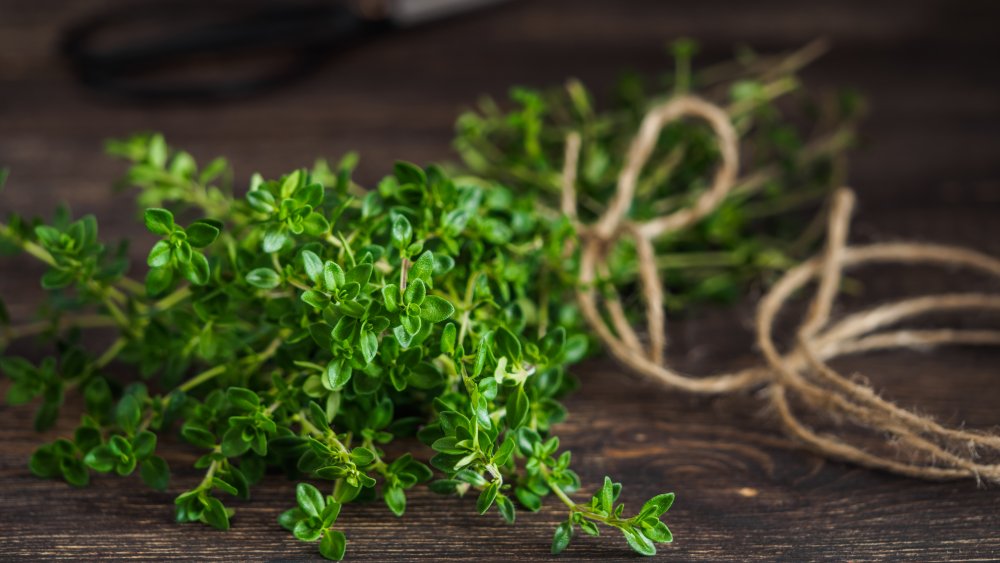 thyme