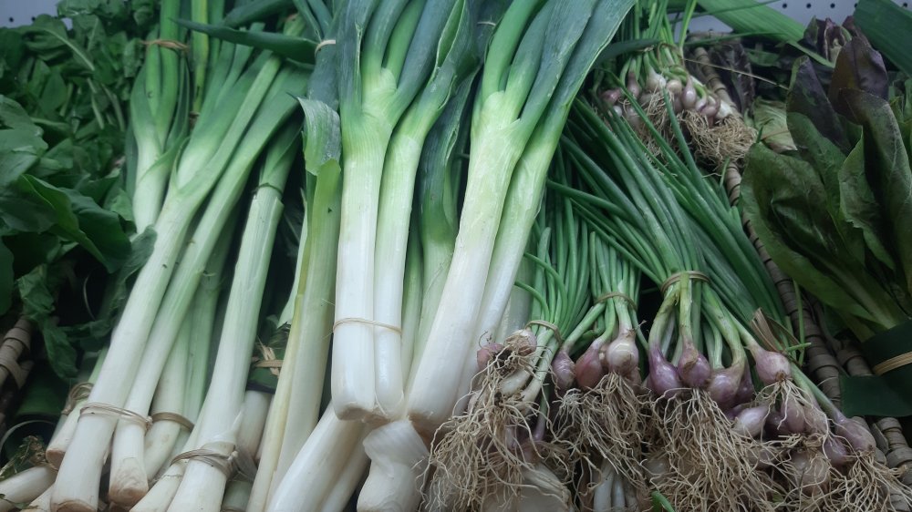 green onions and leeks