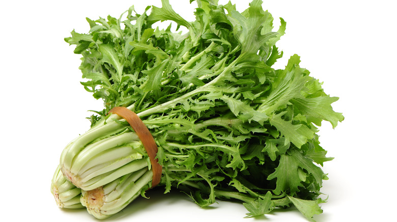 Escarole on a white background