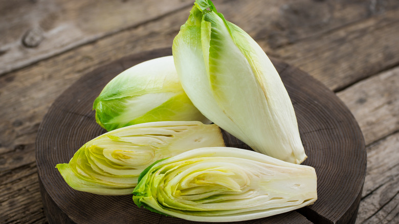 Green and white Belgian endive