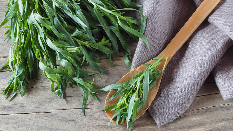 Bunches of fresh tarragon leaves