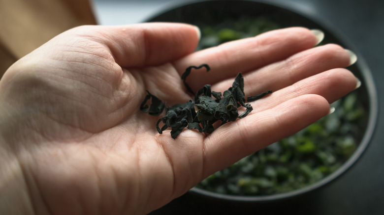 Hand holding dried wakame seaweed