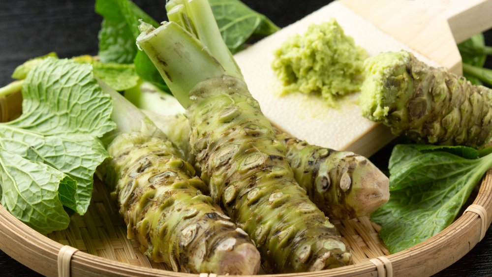 Fresh wasabi root