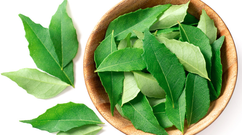 Bowl of fresh curry leaves