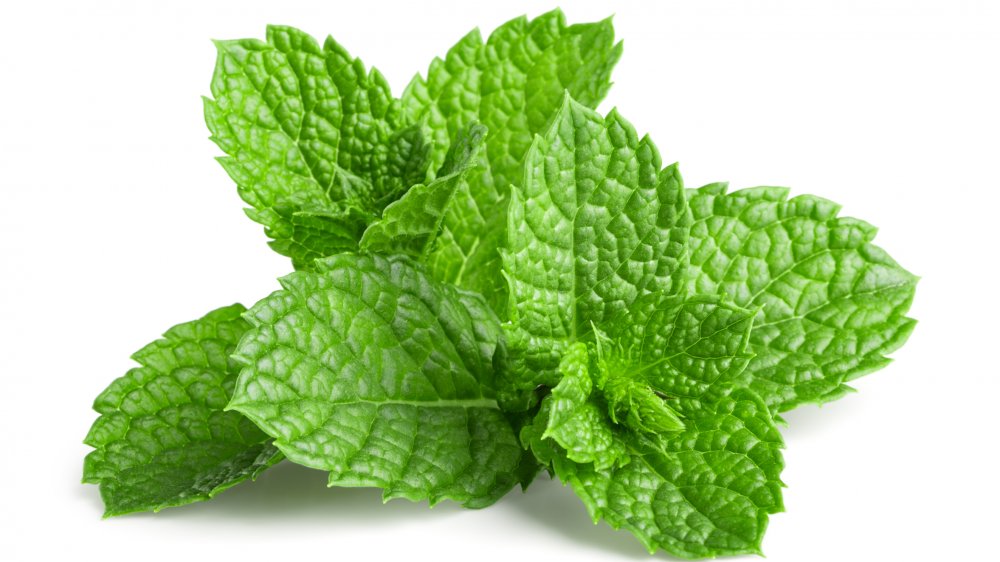 What you can substitute for mint