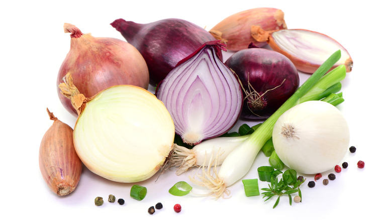 Onions, shallots, and scallions on a white background