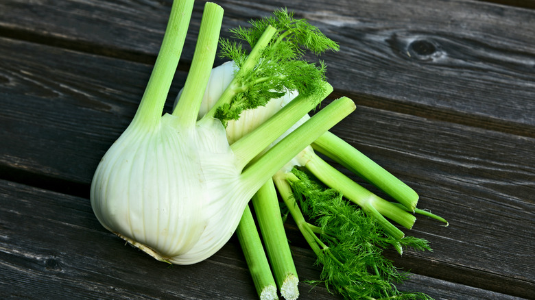 Fennel bulb with fronds attached