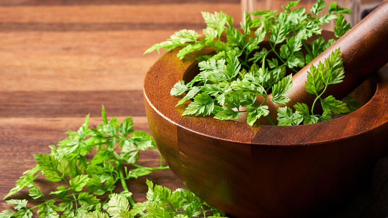 Mortar bowl with fresh chervil