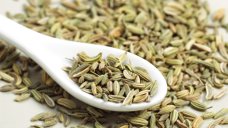 Fennel seeds in a white spoon