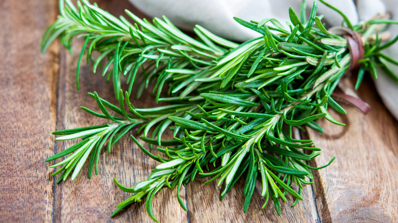 Tied bunch of fresh rosemary