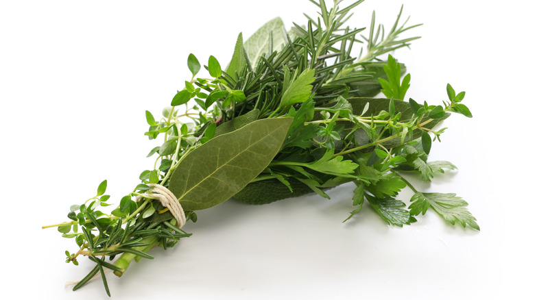 Bundle of herbs de Provence